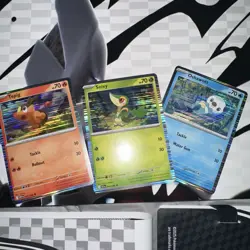 Pokemon BOTH BLACK BOLT & WHITE FLARE BINDERS ONLY BRAND NEW + promo cards - Image 3