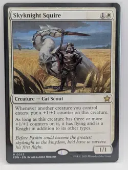 Skyknight Squire Foundations Regular - Image 1