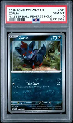 2025 Pokemon White Flare Zorua Master Ball Reverse Holo 061/086 PSA 10 - Image 1