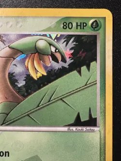 Tropius 27/101 EX Hidden Legends Pokemon Card Reverse Holo Foil Rare MP - Image 4