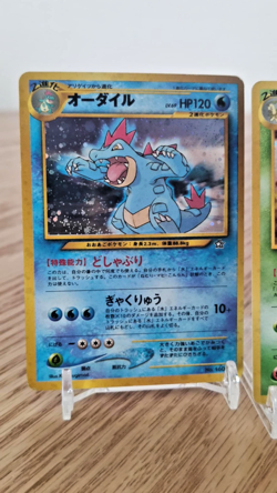 2000 Pokemon Premium File Japanese Holo Set Meganium Feraligatr Typhlosion - VG - Image 2
