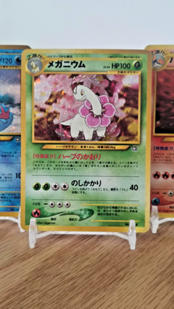 2000 Pokemon Premium File Japanese Holo Set Meganium Feraligatr Typhlosion - VG - Image 3