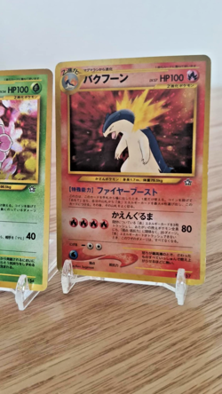 2000 Pokemon Premium File Japanese Holo Set Meganium Feraligatr Typhlosion - VG - Image 4