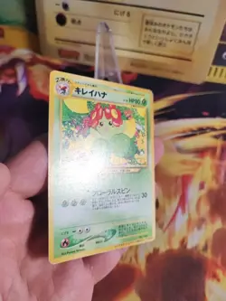 Pokemon Karte Card Blubella Bellossom Trainers Magazine Promo Wotc japanese NM- - Image 4