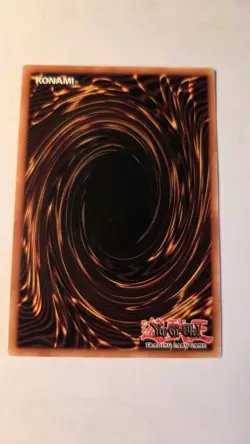 Tree Otter RGBT-EN095 Rare Very low play! Yu-Gi-Oh! - Image 4