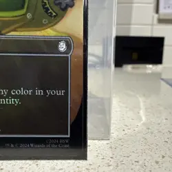 Arcane Signet (Borderless) Universes Beyond: Fallout Foil - Image 4