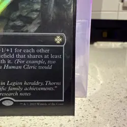 Coat of Arms (Borderless) Commander: the Lost Caverns of Ixalan Foil - Image 4