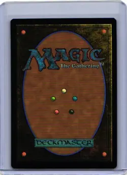 Canyon Slough #256 | Near Mint | Fallout Magic MTG - Image 2