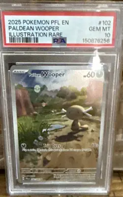 2025 POKEMON PFL EN-PHANTASMAL FLAMES ILLUSTRATION RARE PALDEAN WOOPER PSA 10 - Image 1