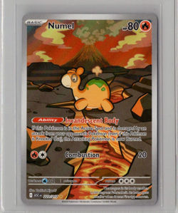 Numel 223/217 Illustration Rare Ascended Heroes Pokemon TCG NM - Image 1