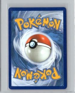 Numel 223/217 Illustration Rare Ascended Heroes Pokemon TCG NM - Image 2