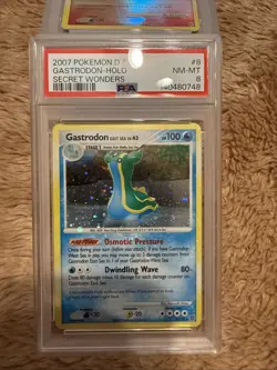 Pokemon Gastrodon East Sea Secret Wonders Holo Rare #8 PSA 8 Holo Bleed - Image 1