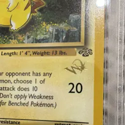 Pokemon Pikachu Jungle 60/64 1st Edition Stamped WoTC Promo PSA 9 1999 - Image 4