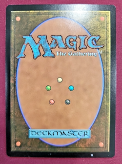 MTG Sheltered by Ghosts Regular Duskmourn #30 Near Mint - Image 2