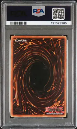 2003 YU-GI-OH! MFC-MAGICIAN'S FORCE #105 DARK PALADIN PSA 5 - Image 2