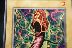YuGiOh Fungi of the Musk Japanese OCG 1st Series Booster5 1999 LP - Image 5