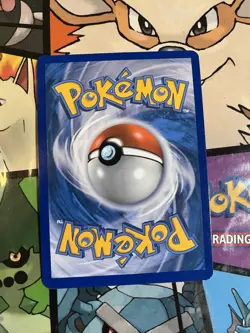 FREE SHIPPING Pokemon Panpour 33/114 Common Reverse Holo Black and White - Image 2