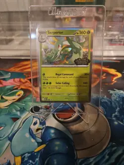 Pokemon Perfect Order STAFF PreRelease Promos - SET OF 4 NM - Image 2