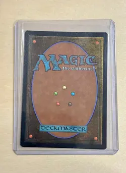 Appa, the Vigilant (Borderless) 62 Avatar Last Airbender: Eternal Legal MTG Foil - Image 2