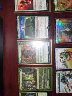 ​"MTG Lot- Bloodletter Of Aclazotz, Wolverine Riders, - 30+ Cards" - Image 2