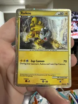 Raikou HGSS19 - Pokemon TCG Promo Heartgold Soul Silver DMG - Image 1