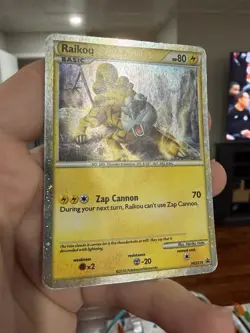 Raikou HGSS19 - Pokemon TCG Promo Heartgold Soul Silver DMG - Image 3