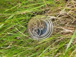 pokemon metal charizard gold coin - Image 3