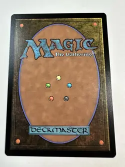 Stinging Study Commander 2021 Regular - Image 4