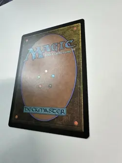 Stinging Study Commander 2021 Regular - Image 5