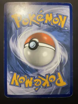 Pokemon Black Star Promo Magikarp & Wailord GX SM166 (JUMBO/OVERSIZED CARD) d1 - Image 2