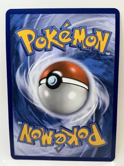 Pokemon First Partner Pack Johto JUMBO Card Set Cyndaquil Chikorita Totodile - Image 3