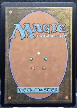 Adarkar Wastes #377 Dominaria United Borderless Regular Rare - Image 2