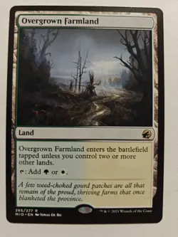 Overgrown Farmland MID NM MTG - Image 1