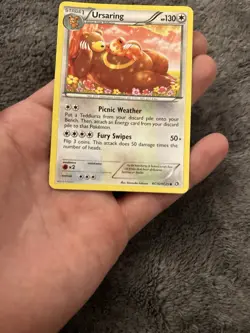 Pokemon - Legendary Treasures - Ursaring Radiant Collection Holo - RC16/RC25 - Image 3