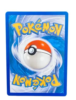 Pokemon Series 1 First Partner Illustration Collection Of 9! (Read Description) - Image 5