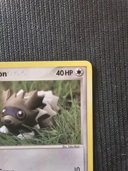 Pokemon Zigzagoon 74/106 Yuka Morii Clay Art. Near Mint. - Image 4