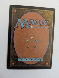 Warrior Stand Portal 3K MTG NM Free shipping with tracking - Image 2