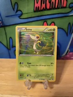 Snivy - BW01 Black Star - Holo Promo - Pokemon Black & White Promos W T Loader!! - Image 1