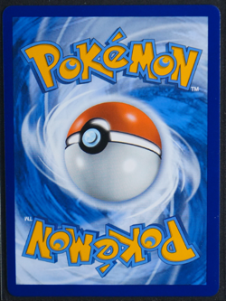 Pikachu V - Holo Promo #SWSH061 SWSH: Sword & Shield Promo Cards NM - Image 2