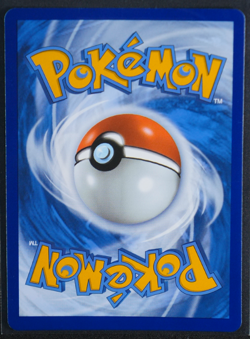 Tyranitar V - Holo Promo #SWSH109 SWSH: Sword & Shield Promo Cards NM - Image 2