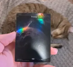 MTG: Swamp BORDERLESS FOIL #242 Space-ic, NM Unfinity Chase Land Card!! - Image 1