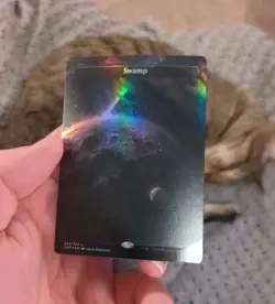 MTG: Swamp BORDERLESS FOIL #242 Space-ic, NM Unfinity Chase Land Card!! - Image 2