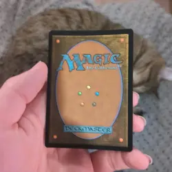 MTG: Swamp BORDERLESS FOIL #242 Space-ic, NM Unfinity Chase Land Card!! - Image 3