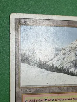 **Taiga** ~Revised~ MTG: Magic the Gathering Heavy Play (HP) - Image 3