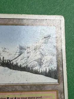 **Taiga** ~Revised~ MTG: Magic the Gathering Heavy Play (HP) - Image 4