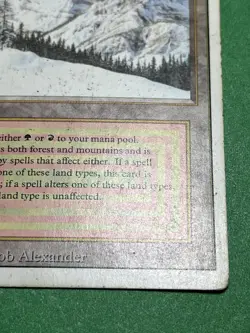 **Taiga** ~Revised~ MTG: Magic the Gathering Heavy Play (HP) - Image 5