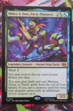 Mikey & Don, Party Planners Teenage Mutant Ninja Turtles Regular - Image 1