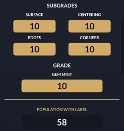 Luffy P-110 ACE 10 + DON!! One Piece Day 25 2025 Promo Set Japanese Lego - Image 3