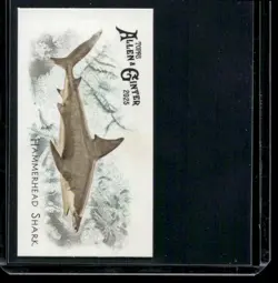 2025 Topps Allen & Ginter #FGW-25 Hammer Shark Mini 50 Fish from Global Waters - Image 1