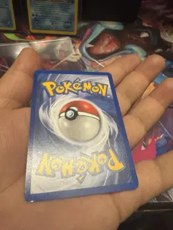 Pokemon Both Gyarados Prerelease & Magikarp XY143 - Image 3